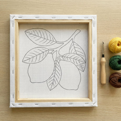 Punch needle kit contents - Pre-stretched canvas, yarn, needle and step-by-step instructions.